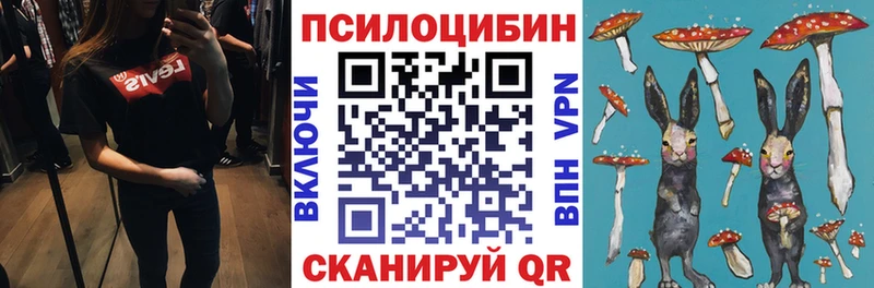 Галлюциногенные грибы Psilocybine cubensis  наркотики  Наволоки 